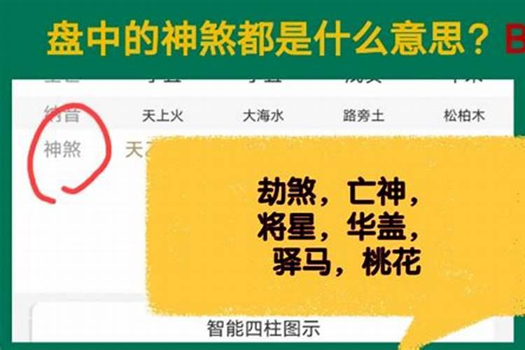 日支驿马 华盖 劫煞 空亡是什么意？