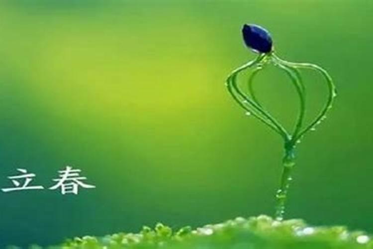 立春躲春的正确步骤