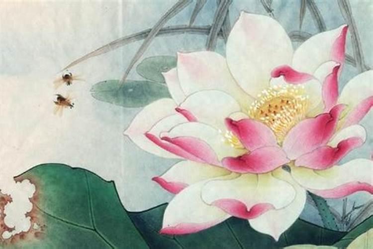 为何说农历十月初一出生的人是凤凰命？