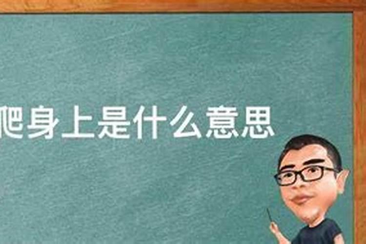 梦见老鼠往我身上扑