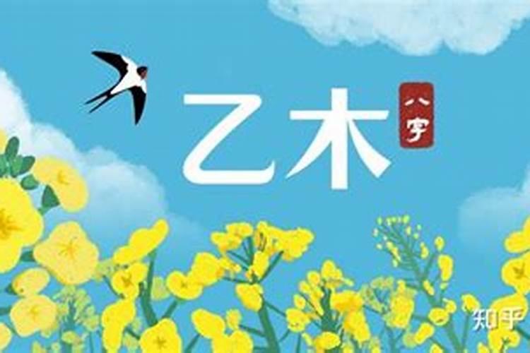 乙运正官也不强,戊土城墙见木伤是什么意思