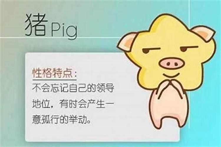 95年属猪找对象方位 东方为青龙之位