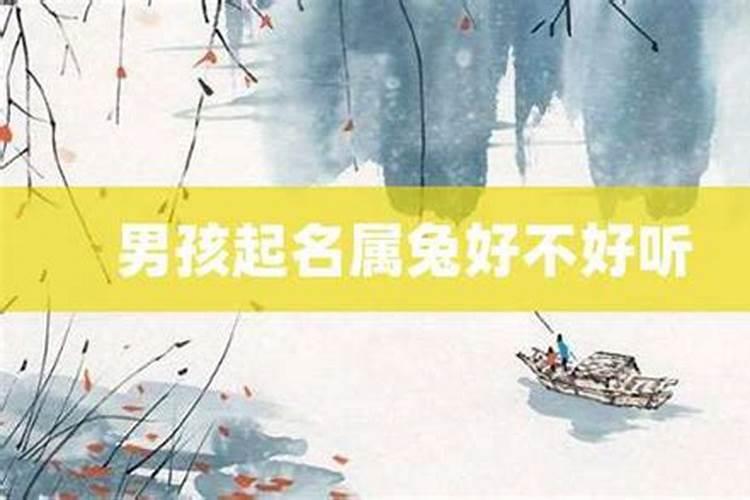 属兔男孩起名字适合用的字