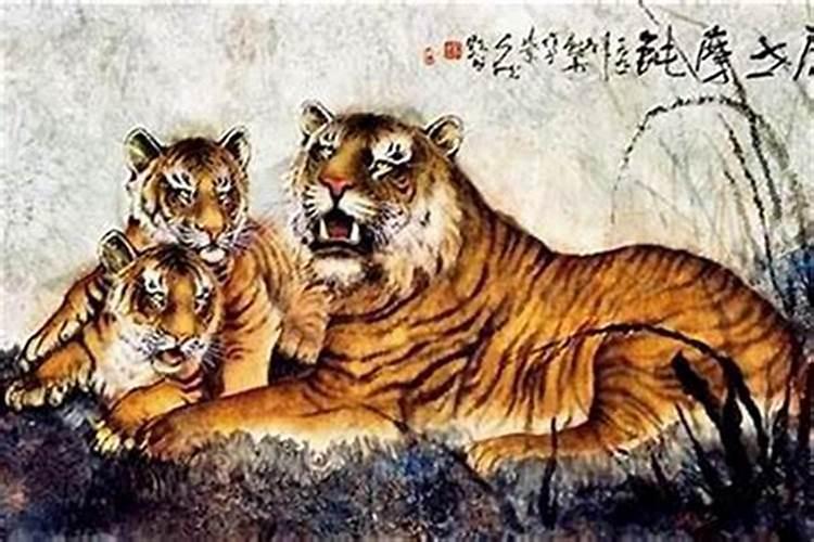 1962年属虎男2023年每月运程 62年虎今年下半年运势