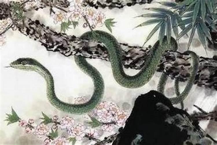 属蛇的什么时候犯太岁 这四个年份犯太岁怎么办？