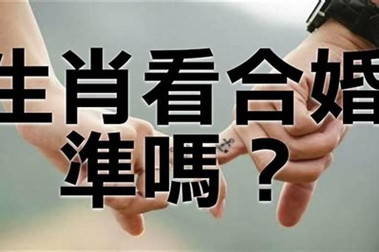 如何通过八字选择最佳生意合伙人？