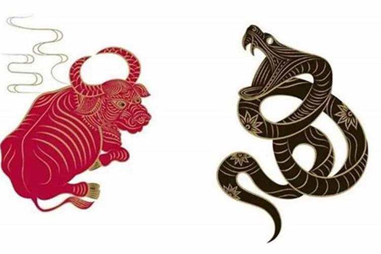 2025属蛇的贵人和小人是谁