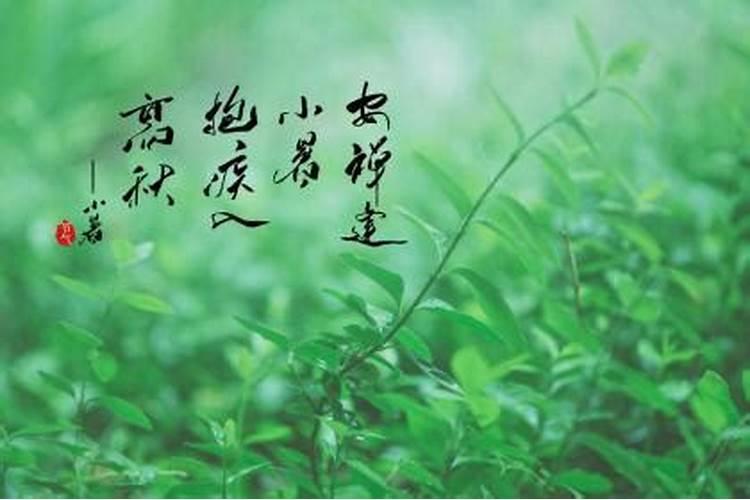 立秋出生的宝宝应该怎么过生日此时生人衣食丰富？