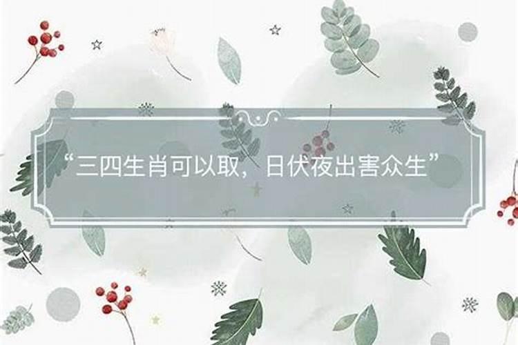 日伏夜出指什么生肖