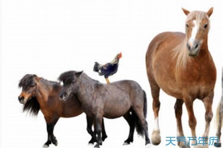 八字里的喜用神怎么看