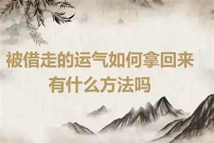 梦到猪是什么意思周公解梦