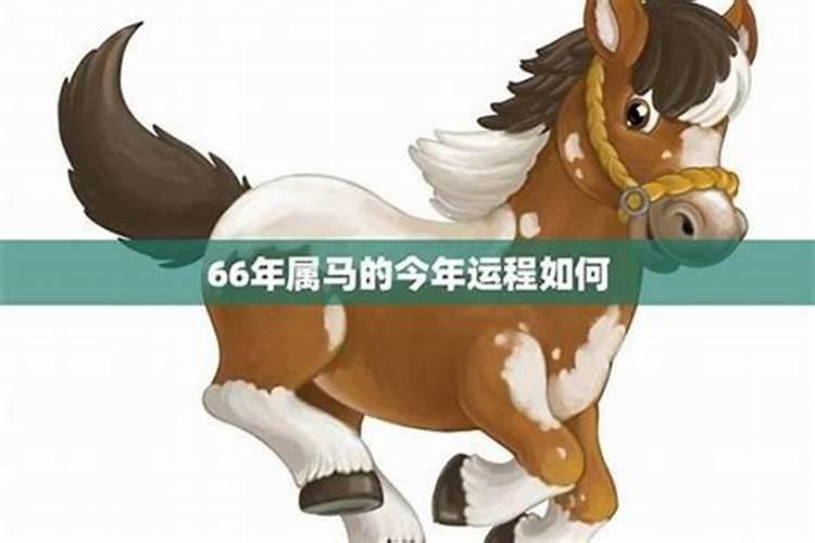 属马闰五月出生的命运,属马女性闰五月十一生运势
