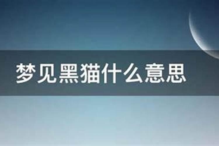 梦见黑猫是什么预兆 女性