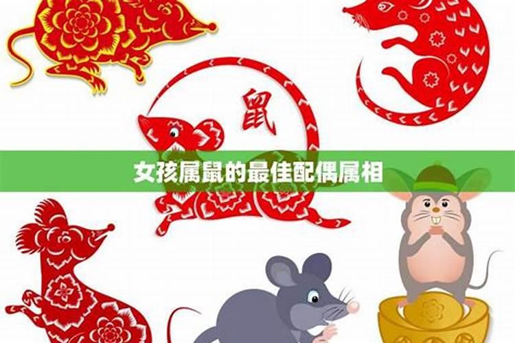 鼠女最佳婚配前十名属相,女属鼠配什么属相最合适