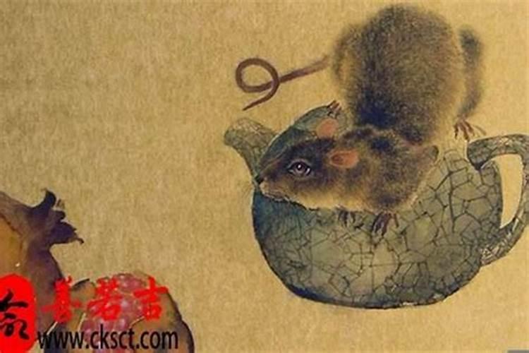 60年的鼠2025年运势好吗