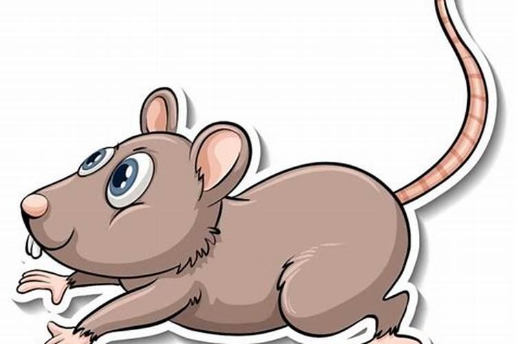 2024年婚姻不顺的生肖 鼠要防止烂桃花？