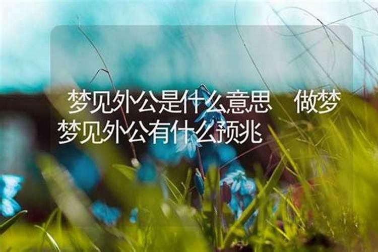 属于12生肖的旺桃花运食物