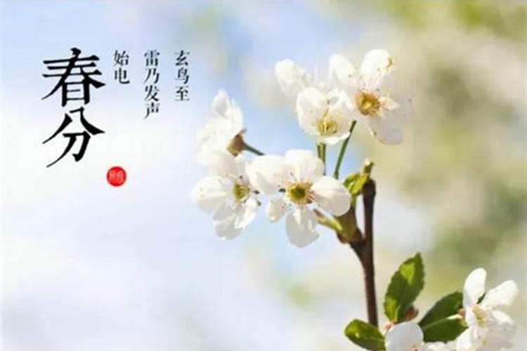 立春节气的特点和风俗