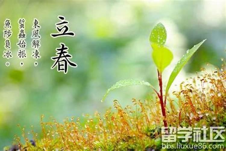 立春节气的特点 立春节气的风俗