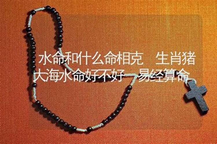 大海水命与石榴木命 婚姻合不合