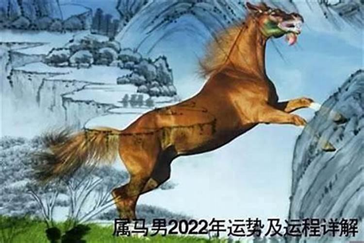 属马人在哪些年份运气好点