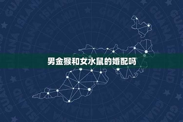 生肖属猴和鼠婚配好不好,女属猴男属鼠相配吗？