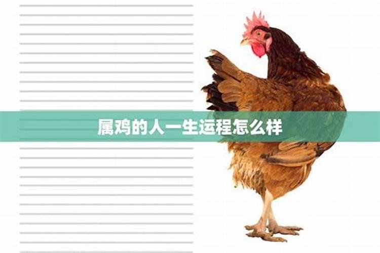 77年属蛇女人蕞佳丈夫,婚姻好不好？