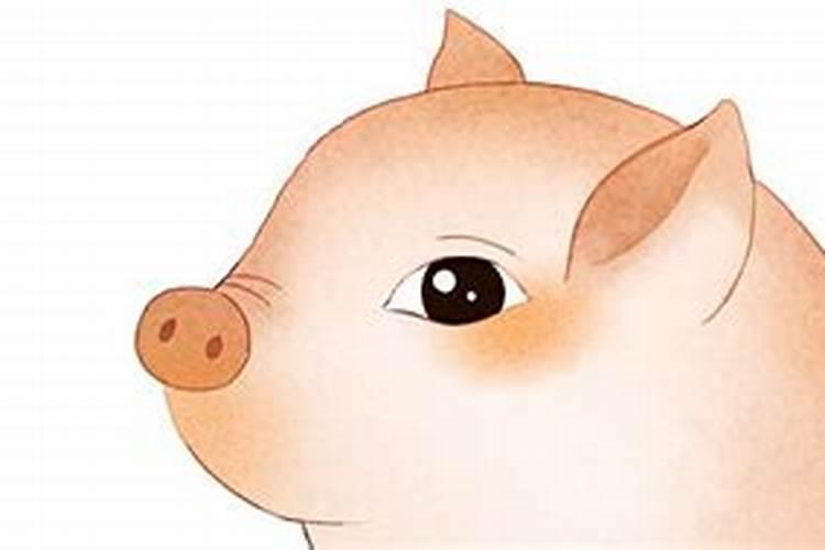 梦见猪头 梦见猪头什么意思