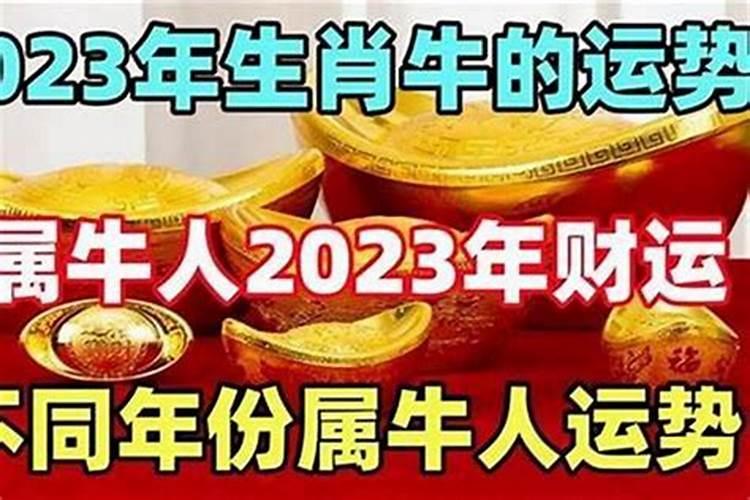 我是本命年,今年的财运怎么样？
