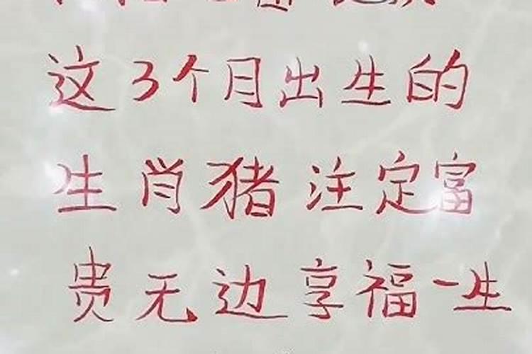 生肖猪什么月份出生最好 属猪人出生月命运？