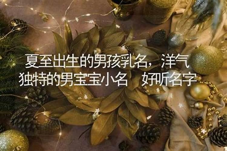 我儿子是去年6.22出生的,夏至的后一天,求帮取个小名？