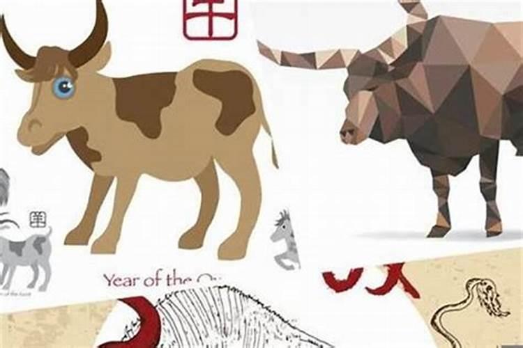 泰国古曼是什么鬼？