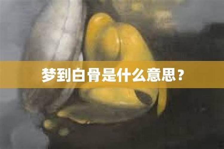 梦见满地白骨的预兆