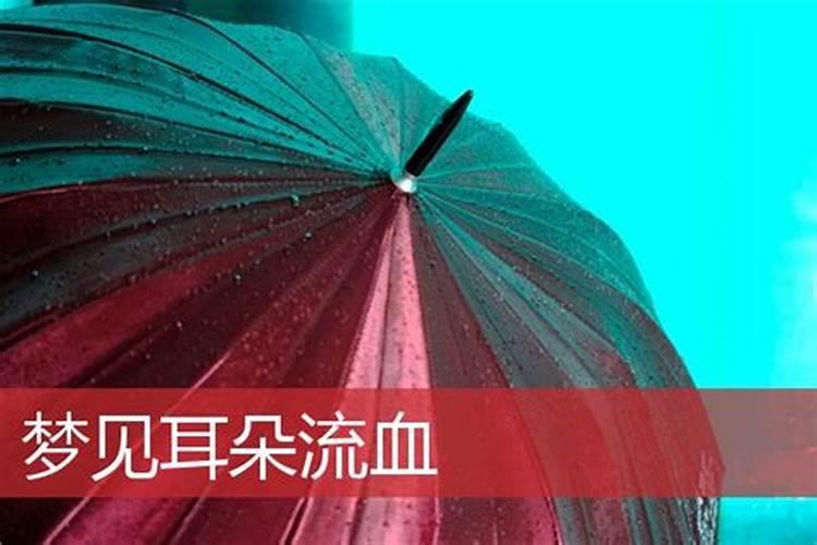 重阳节在哪个节气时期*