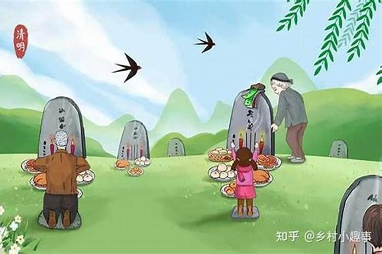 生肖猪1995年2025年运势如何 生肖猪1995年2025年全年运势