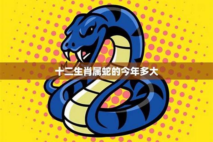花儿纳吉什么意思