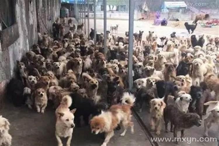 下午5点半是什么时辰？