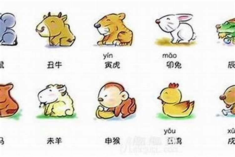 35岁属啥的今年2025