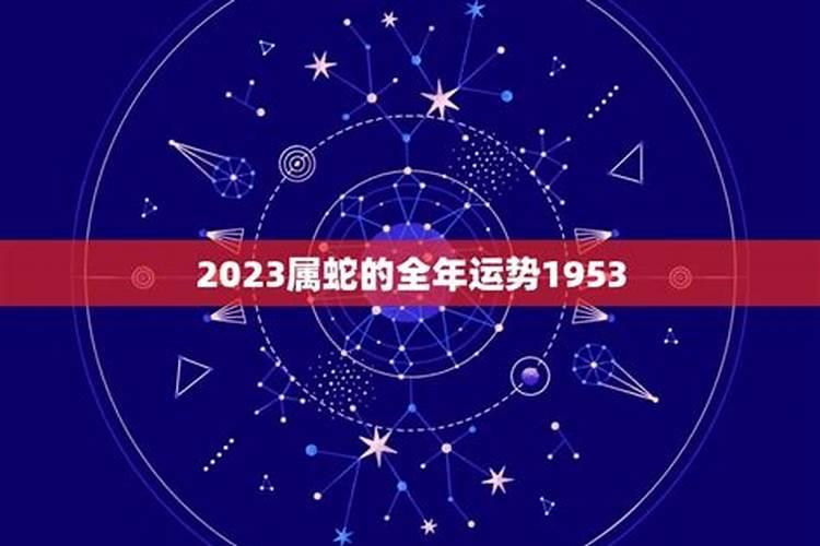 生肖蛇2025年运势及运程如何