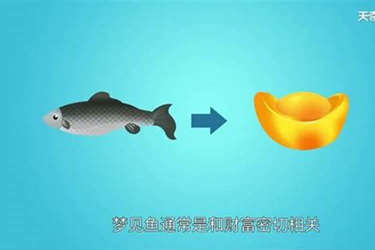 梦见自己抓到鱼是什么征兆