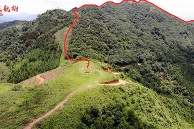道公佬道公