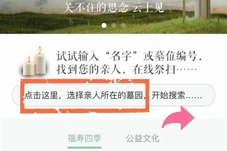 清明如何网上祭扫