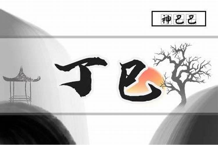 今天的生肖属相是什么？