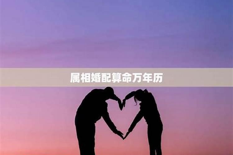 老黄历万年历查询属相配对,万年历阴历属相查询
