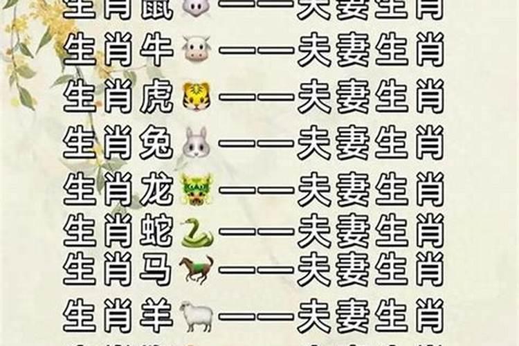 属相婚配测试