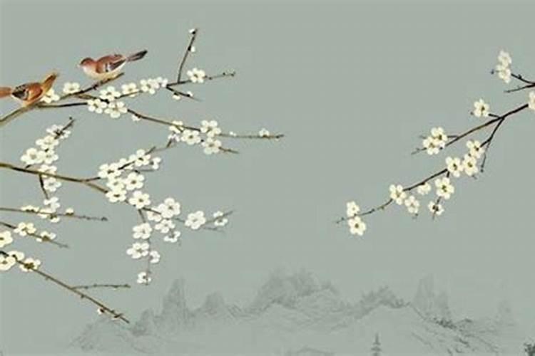 生辰八字测姻缘,生辰八字测姻缘