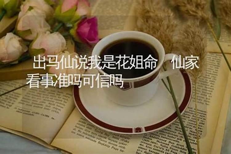 出马好吗？我看总折磨她