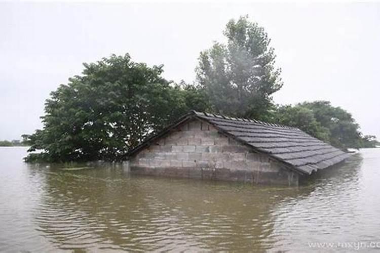 梦见水淹了房子满地是水
