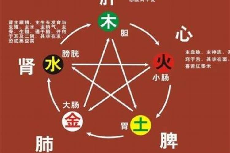 女土命最旺什么行业