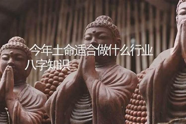 土命人适合做什么生意